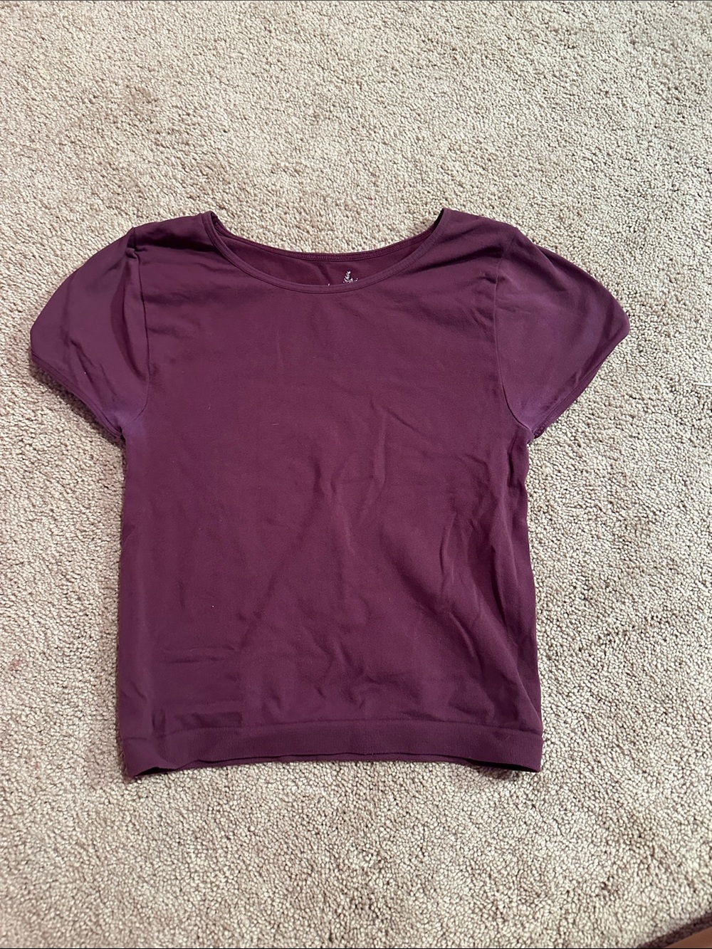 Free People Short Sleeve Scoop Neck Top in Plum